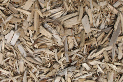 biomass boilers Rallt